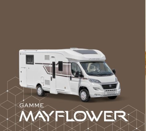 fleurette florium Mayflower
